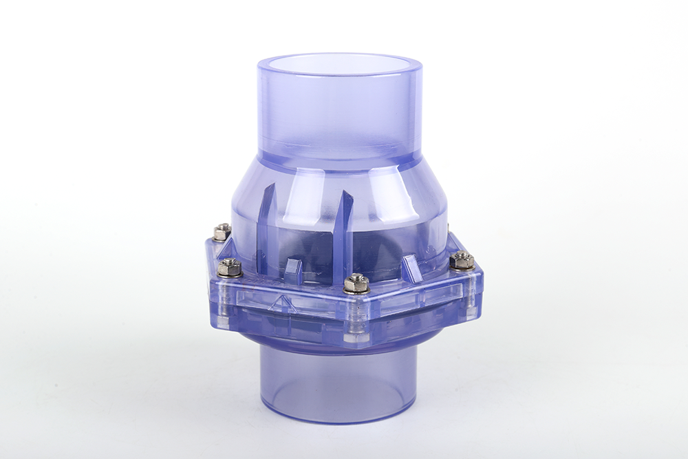 斗门透明翻板式止回阀